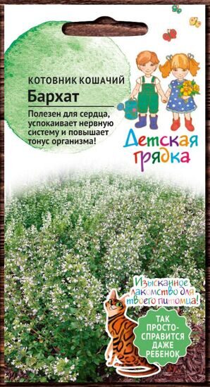 Котовник кошачий Бархат 0,1 г Детская грядка